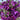 GSC Mum Bush Purple 15.5" - Artificial Flora Hanging Basket & Porch Pots