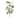 Allstate Pumpkin Spray Green 17.5" - Artificial Non-Flowering Plants Silk