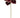 Select Velvet Magnolia Spray Burgundy 20" - Artificial Flowering Plants Silk