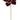 Select Velvet Magnolia Spray Burgundy 20" - Artificial Flowering Plants Silk