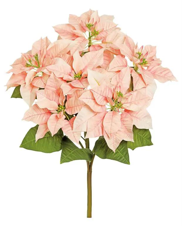 Poinsettia Bush x6 Pink 26"