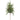 Juniper/Cypress Silk Spray, green, 28 inches long for decor