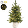 Lit silk mixed pine tree in Santa container, 23 inches, battery-operated warm lights