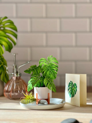 Mini Monstera Pop-Up Greeting Card