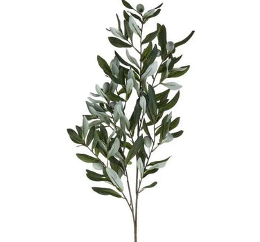 Regency Andalusia Olive Branch 38" - Uncategorized Silk