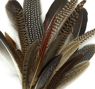 Natural Pheasant Feathers  4-10" (Pack of 20)
