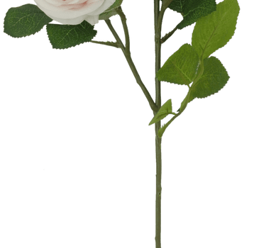 Golden Bell Austin Rose Spray Pink 30" - Uncategorized Silk