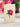 FreshCut Paper LLC Mini Peony Paradise Pop-Up Greeting Card - Greeting Cards Merchandise