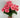 Direct Export Begonia Bush Pink 10" - Artificial Flora Silk