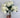 Direct Export Begonia Bush White 10" - Artificial Flora Silk