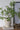 A&B Beige Sand-Cement Ridged Vase 7" x 9" - Vases Merchandise