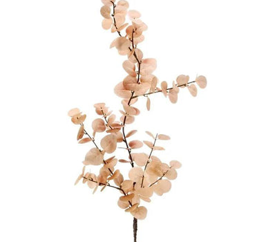 Blanched Eucalyptus Spray Mocha 35" - Evergreen Home and Floral