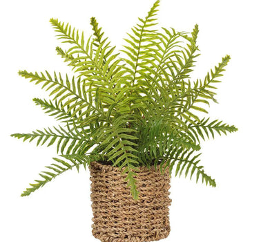 Allstate Boston Fern In Basket 15" - Artificial Non-Flowering Plants Silk
