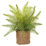 Allstate Boston Fern In Basket 15" - Artificial Non-Flowering Plants Silk