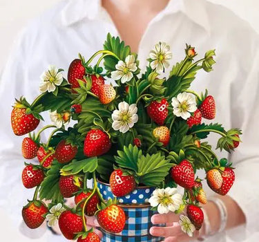 FreshCut Paper LLC Strawberry Blossom Pop-Up Greeting Card - Greeting Cards Merchandise