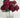 Le Fleur Cabbage Rose Bush (x10) Red 19" - Uncategorized Silk