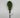 Supreme Cactus Pick 10" - Artificial Non-Flowering Plants Silk