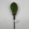 Supreme Cactus Pick 10" - Artificial Non-Flowering Plants Silk