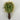 Supreme Cactus Pick 8.5" - Uncategorized Silk