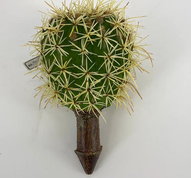 Supreme Cactus Pick 8.5" - Uncategorized Silk