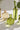 Accent Decor Carlotta Budvase Green (3 Sizes) 4"-6.25" - Vases Merchandise