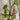 Accent Decor Carlotta Budvase Green (3 Sizes) 4"-6.25" - Vases Merchandise