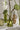 Accent Decor Carlotta Budvase Green (3 Sizes) 4"-6.25" - Vases Merchandise