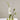 Accent Decor Carlotta Budvase Green (3 Sizes) 4"-6.25" - Vases Merchandise