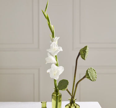 Accent Decor Carlotta Budvase Green (3 Sizes) 4"-6.25" - Vases Merchandise