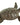 Moby Dick Cast Iron Sea Turtle Key Box 4"L x "W - Decorative Plaques Merchandise