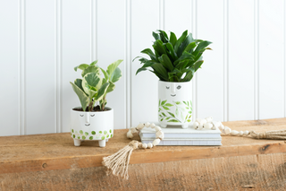 Face Planter with Leaf Pattern 4.4x3.75"