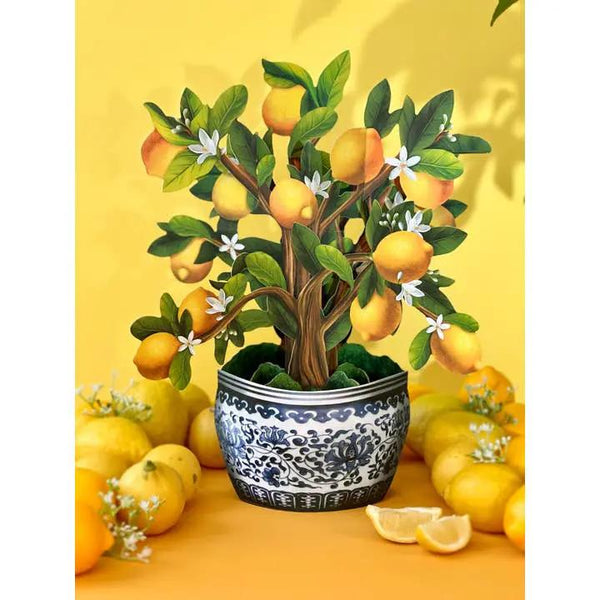 FreshCut Paper LLC Lemon Blossom Tree Pop-Up Greeting Card - Greeting Cards Merchandise