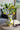 A&B Ceramic 3D Lemon Print Vase 9" x 13.5" - Vases Merchandise