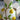 A&B Ceramic 3D Lemon Print Vase 9" x 13.5" - Vases Merchandise