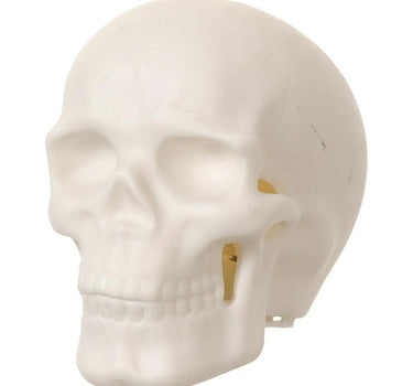 Allstate Skull Light White 3" - Seasonal & Holiday Decorations Merchandise