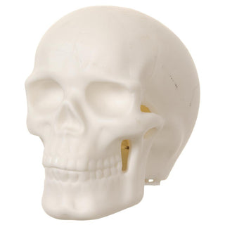 Skull Light White 3"