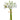 Allstate Mini Ranunculus Bundle White 10" - Uncategorized Silk