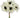 Allstate Anemone Bundle x6 White 12" - Uncategorized Silk