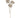 Cow Parsnip Spray Beige 35"