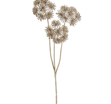 Cow Parsnip Spray Beige 35"