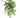 UV Peperomia Leaf Bush 18"