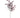 Mangrove Leaf Spray Burgundy 39"