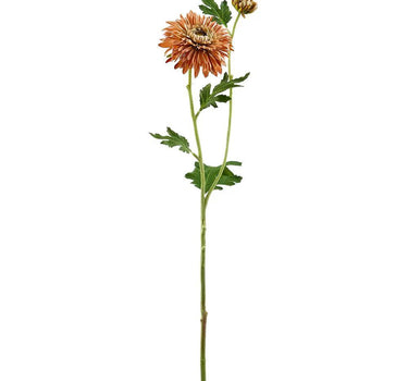 Mum Spray Toffee 28"