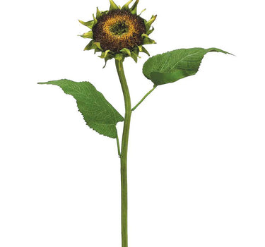 Sunflower Spray Brown 28"