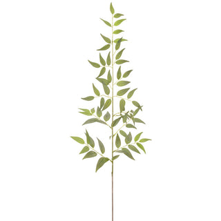 Italian Ruscus Leaf Spray Grey-Green 36"