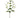 Allstate Gloriosa Spray Cream 34" - Uncategorized Silk