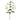 Allstate Gloriosa Spray Cream 34" - Uncategorized Silk