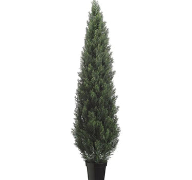 Cedar Topiary 6'