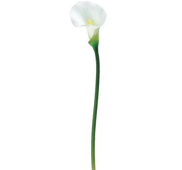 Calla Lily White 21"