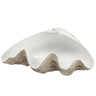 Allstate Clam Shell Figurine 3.25"H x 9"L - Figurines Merchandise